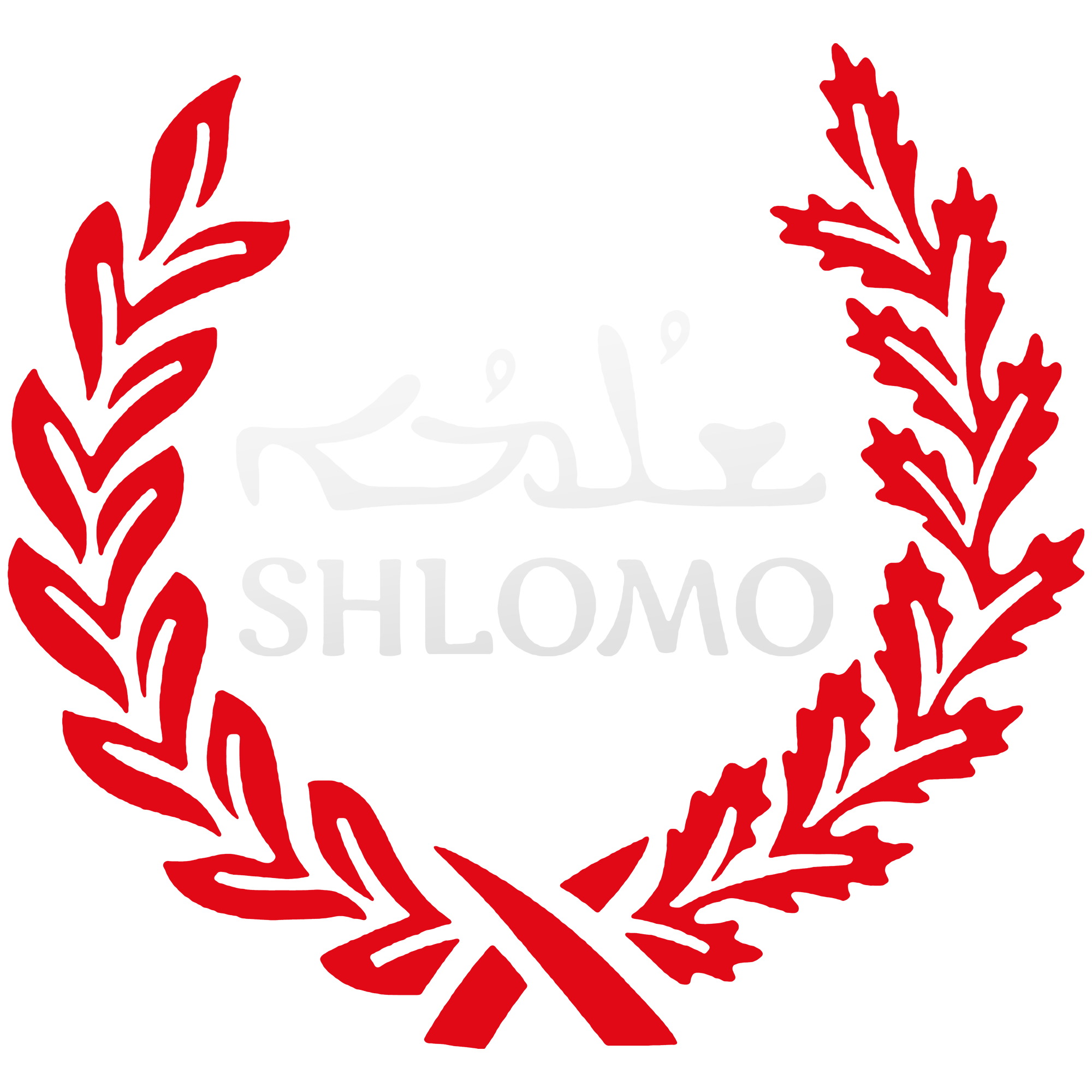 Das ist das Shlomo Logo.